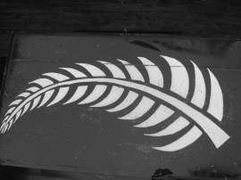 The Silver Fern -Painted on the table at our Hostel
