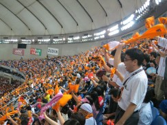 Tigers fans are loud and amazing