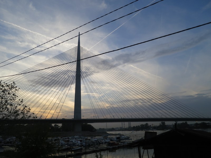 The perfect shot from our night tour